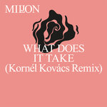 What Does It Take (Kornel Kovacs Remix)