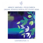 Contemplation VI - Ficus Carica (Incl. Remixes)