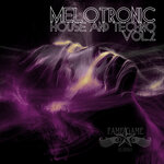 Melotronic House And Techno, Vol 2