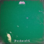 Duskwinds