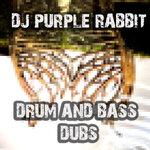 DJ Purple Rabbit Drum & Bass Dubs