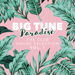 Big Tune Paradise - The Club House Selection, Vol 1