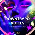 Downtempo Voices Vol 3 (Electronic Lounge Collection)