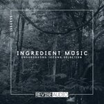 Ingredient Music Vol 55