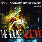 The House Medicine Vol 1 - Soul-soothing House Songs