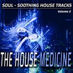 The House Medicine Vol 2 - Soul-soothing House Songs