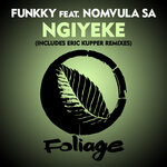 Ngiyeke