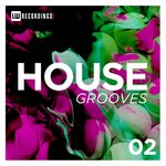 House Grooves, Vol 02