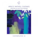 Contemplation VII - Platanes (Incl. Gigi Testa Remix)