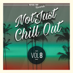 Not Just Chill Out Vol 8