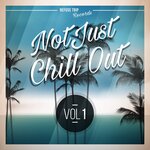Not Just Chill Out Vol 1