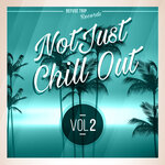 Not Just Chill Out Vol 2