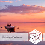 Memory Lane/Fleeting Love
