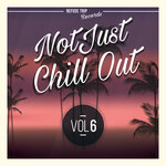 Not Just Chill Out Vol 6