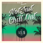 Not Just Chill Out Vol 5