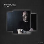 Modulism Vol 3 (unmixed tracks)