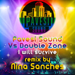 I Will Survive (Nina Sanches Remix)