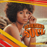 Remember Soul, Vol 1