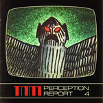 Perception Report 4