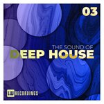 The Sound Of Deep House, Vol 03