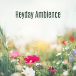 Heyday Ambience