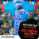 Just Can't Wait (Kid Creme Remix)