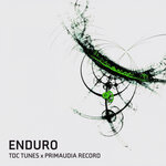 Enduro (Radio Edit)