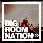 Big Room Nation Vol 30