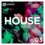 House Grooves, Vol 03