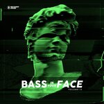 Bass In Your Face Vol 13