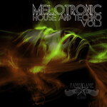 Melotronic House And Techno, Vol 3