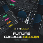 Future Garage Serum (Sample Pack Serum Presets)