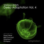 Deep Adaptation Vol 4