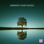 Ambient Sleep Music