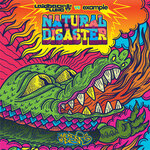 Natural Disaster (Remixes)