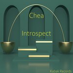 Introspect (Original Mix)