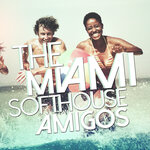 The Miami Softhouse Amigos