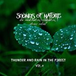 Sounds Of Nature - Thunder And Rain In The Forest For Meditaion, Relaxation, Stress Relief, Vol 4