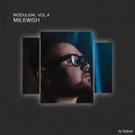 Modulism Vol 4 (unmixed tracks)