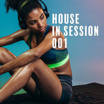 House In Session, Vol 1