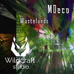 Wastelands (Original Mix)