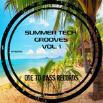 Summer Tech Grooves Vol 1