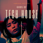 Gods Of Tech House, Vol 3