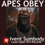 Apes Obey
