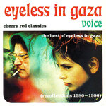 Voice - The Best Of Eyeless In Gaza