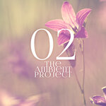 The Ambient Project Vol 2