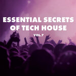 Essential Secrets Of Tech House Vol 7