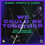 We Could Be Together (Mike Williams Remix)