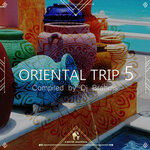 Oriental Trip, Vol 5 (Compiled By Dj Brahms)