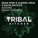Missing (Sean Finn Radio Edit)